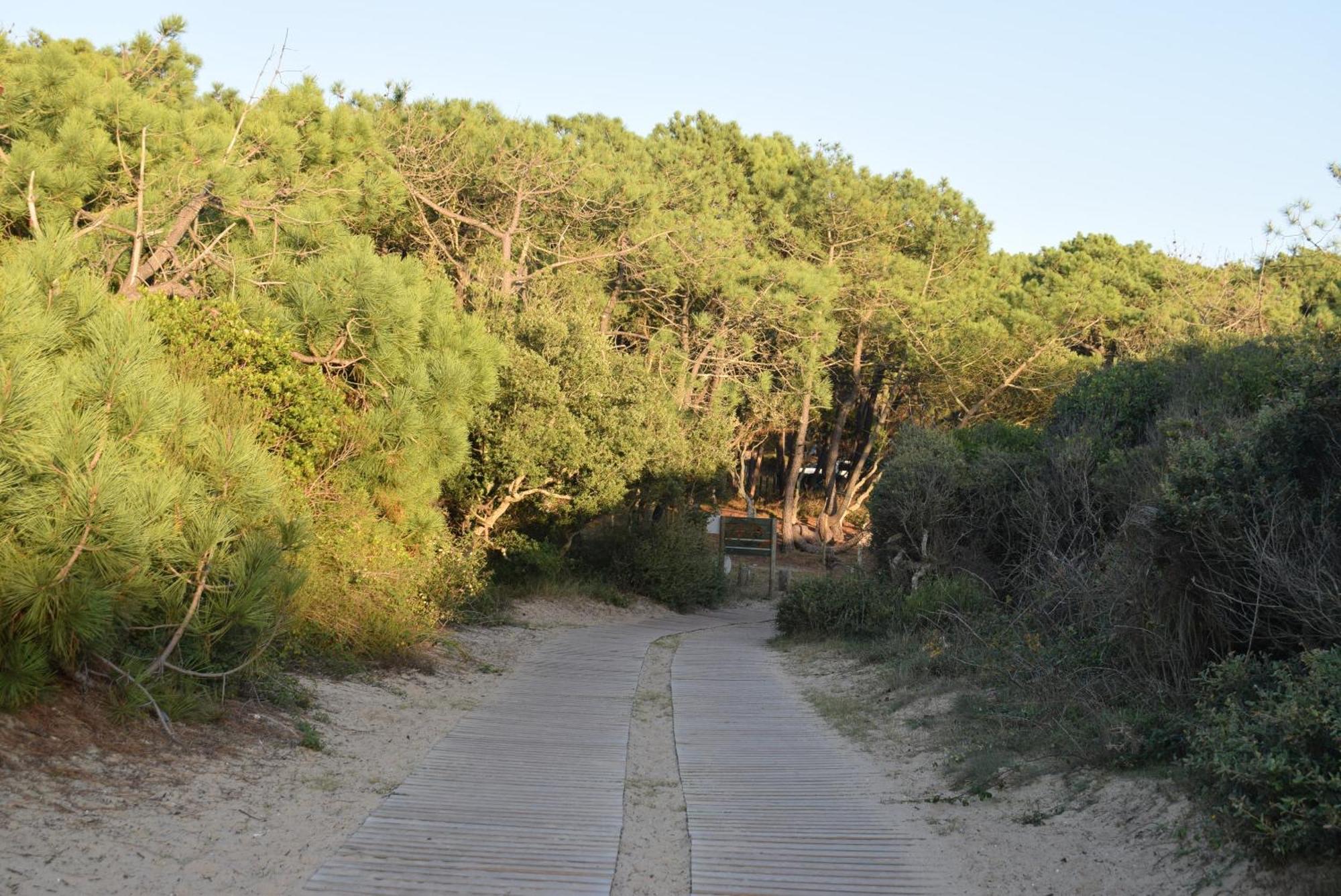 Evasion Cotiere Tranquillite Entre Foret Et Ocean ヴィエル・サン・ジロン エクステリア 写真