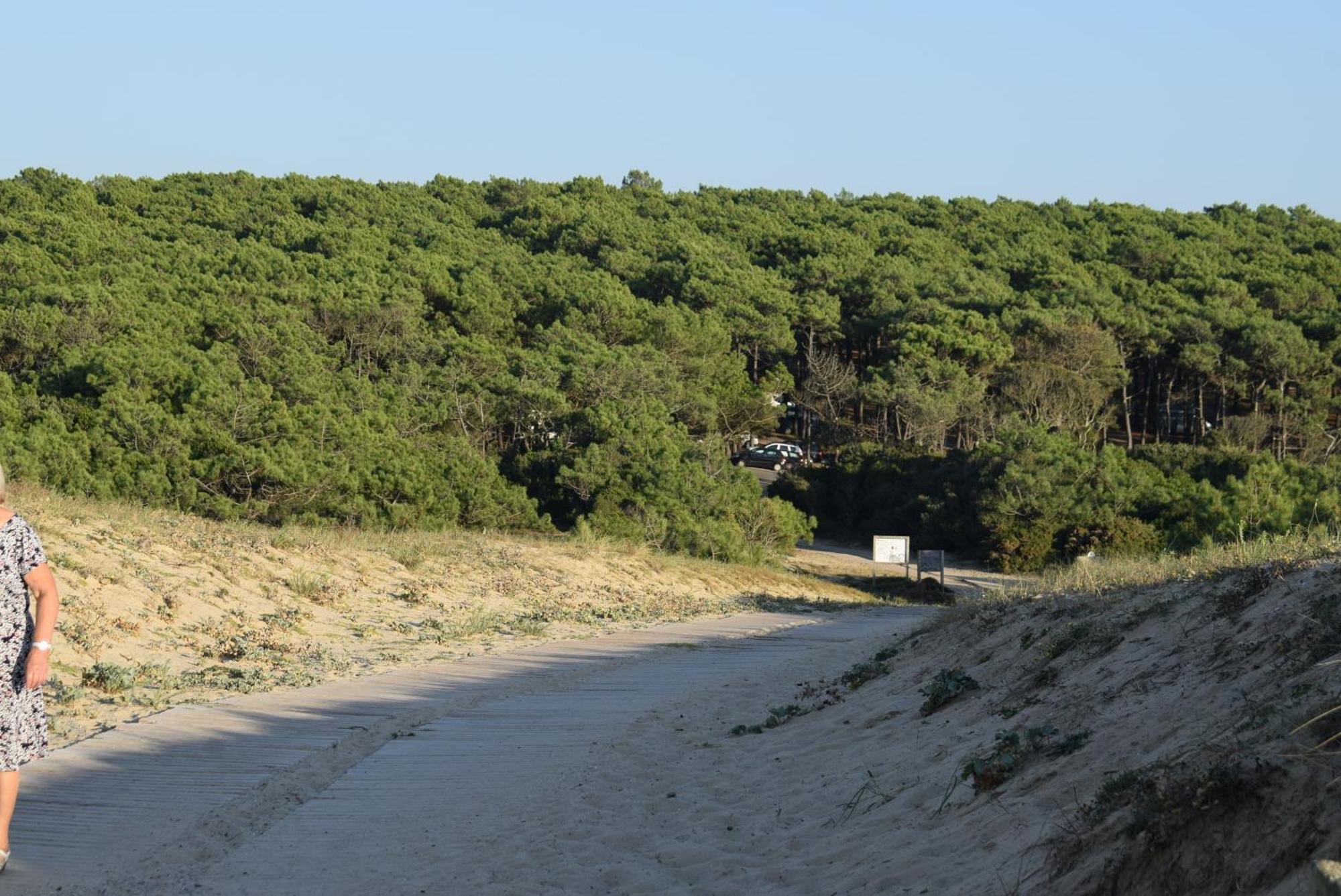 Evasion Cotiere Tranquillite Entre Foret Et Ocean ヴィエル・サン・ジロン エクステリア 写真